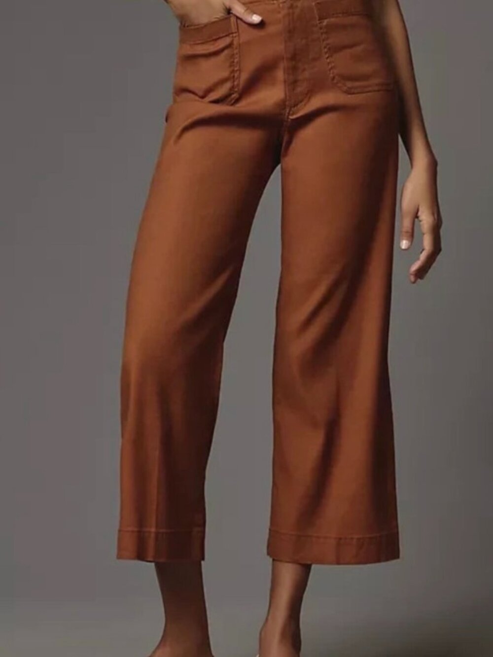 Maeve Anthropologie The Colette Cropped Wide Leg Linen Pants Brown Rust Size 29 - Picture 6 of 6